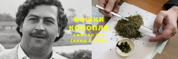 spice Протвино