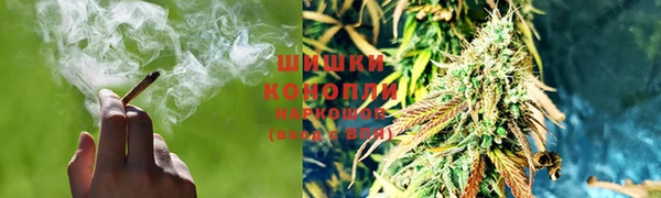 spice Протвино